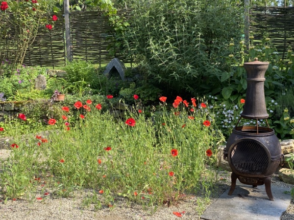 Vinaora Nivo Slider 3.x